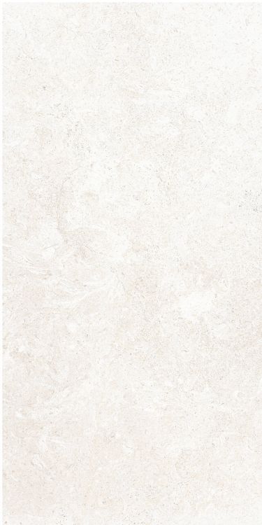 OL Limestone Bianco Matte 12 x 24